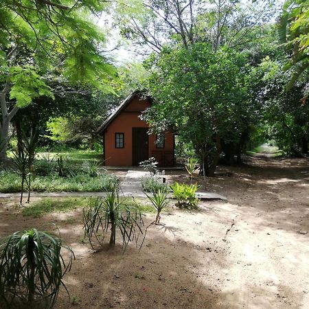 We Bushcamp & Horse Safaris Villa Hluhluwe Exterior photo